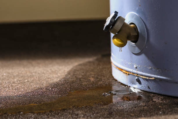 Best Local water damage restoration  in Bayard, NE