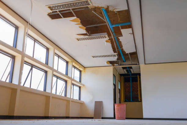 Best Ceiling water damage repair  in Bayard, NE