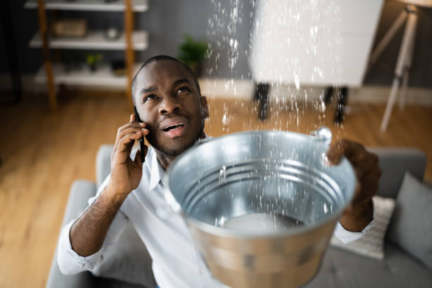 Best Water damage restoration near me  in Bayard, NE