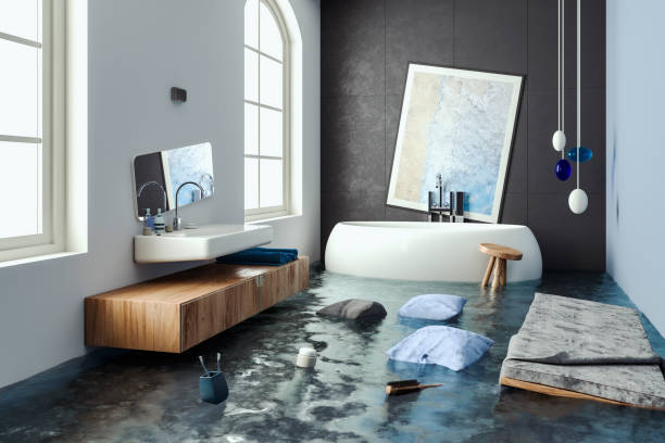 Best 24/7 water damage repair  in Bayard, NE