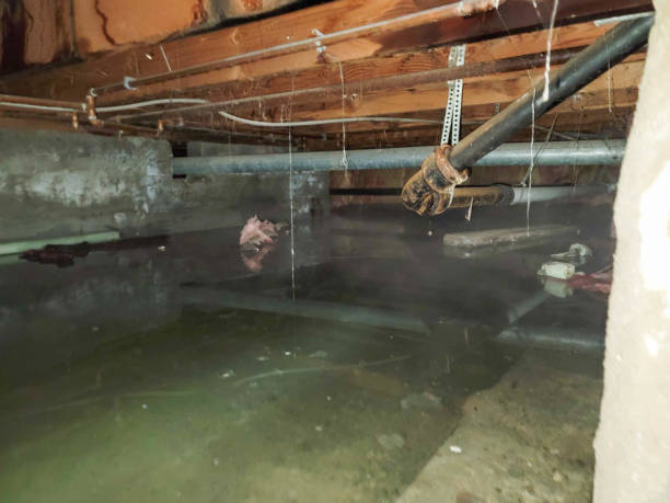 24/7 water damage repair in NE