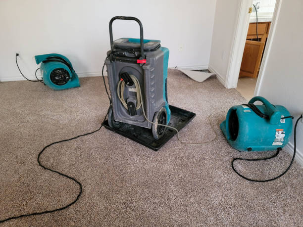 Best Water damage contractors near me  in Bayard, NE
