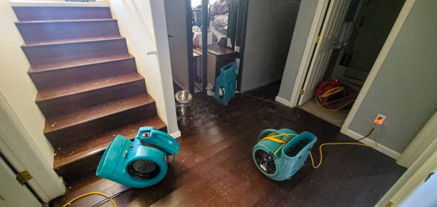Best Commercial water damage restoration  in Bayard, NE