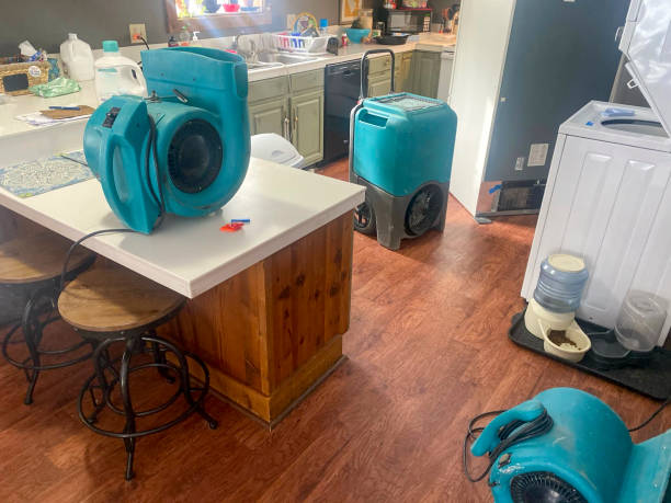  Bayard, NE Water damage restoration Pros