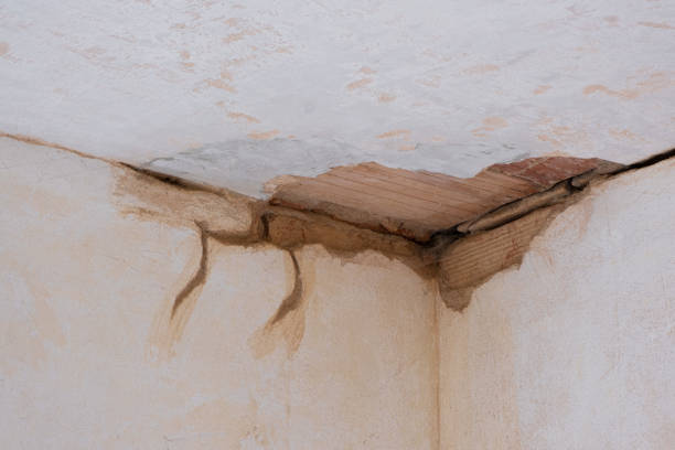 Best Fire Damage Restoration  in Bayard, NE