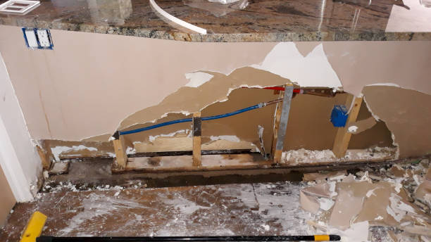 Best Flood damage cleanup  in Bayard, NE