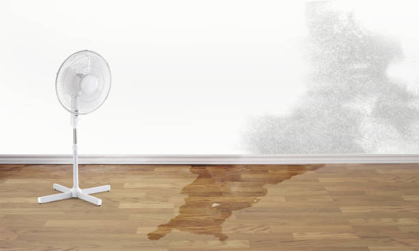 Best Flood restoration services  in Bayard, NE