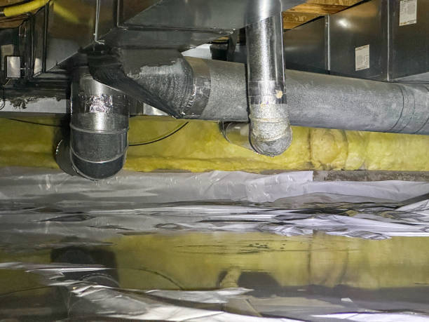 Best Water damage cleanup near me  in Bayard, NE